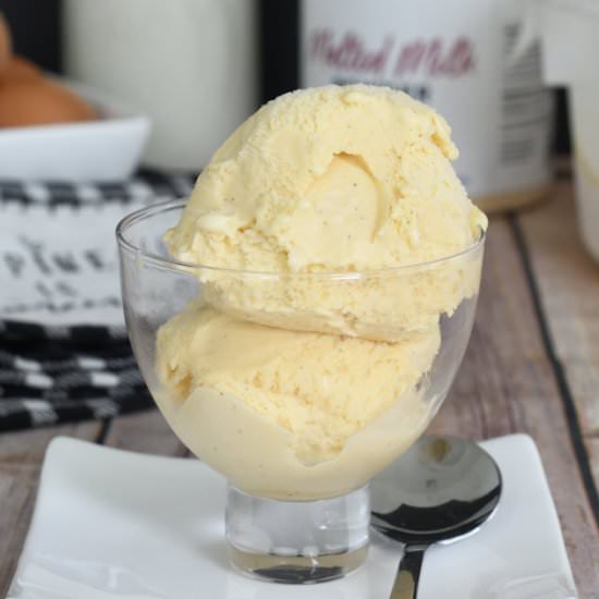 Malted Milk Ice Cream