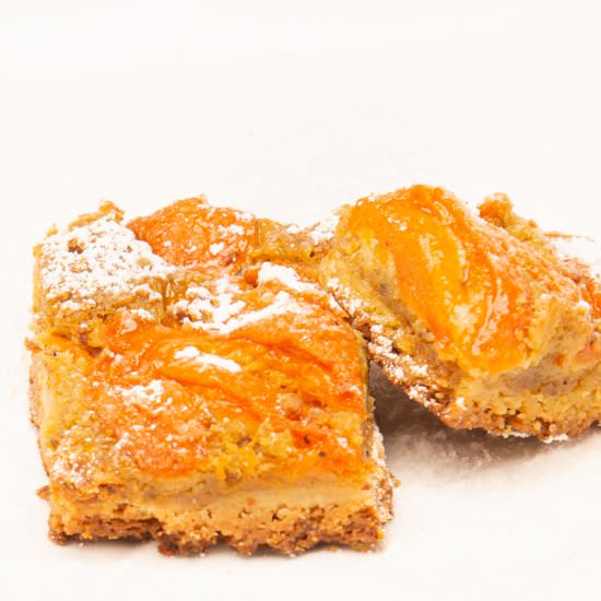 Apricot Pistachio Bars