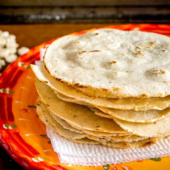 Homemade Corn Tortillas
