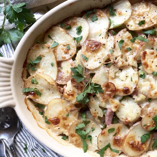 potato gratin with beans & ham