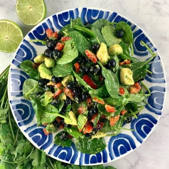 SPINACH & BLUEBERRY SALAD