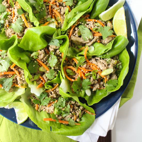 Sesame Ginger Turkey Lettuce Wraps