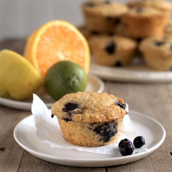 citrus blueberry muffins