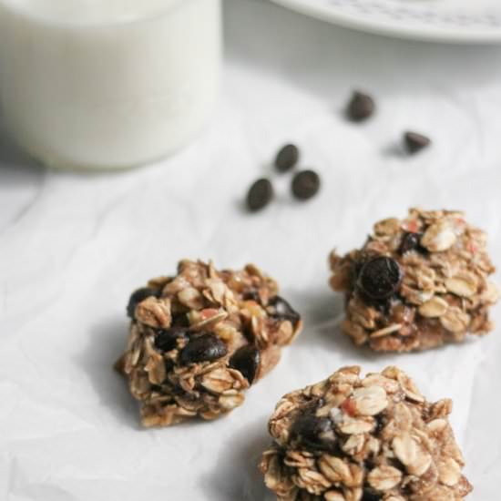 Healthy Sweet and Salty Oat Cookies