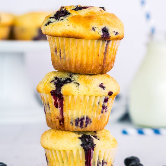 Blueberry Muffins