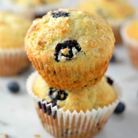 Blueberry Muffins