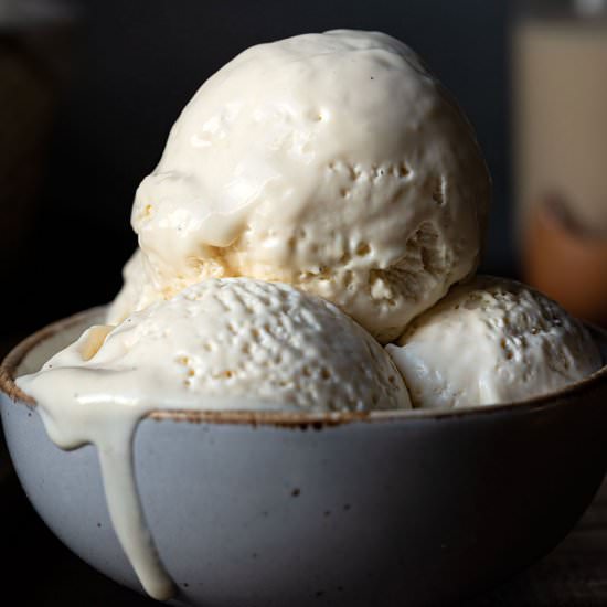 Homemade Ice Cream