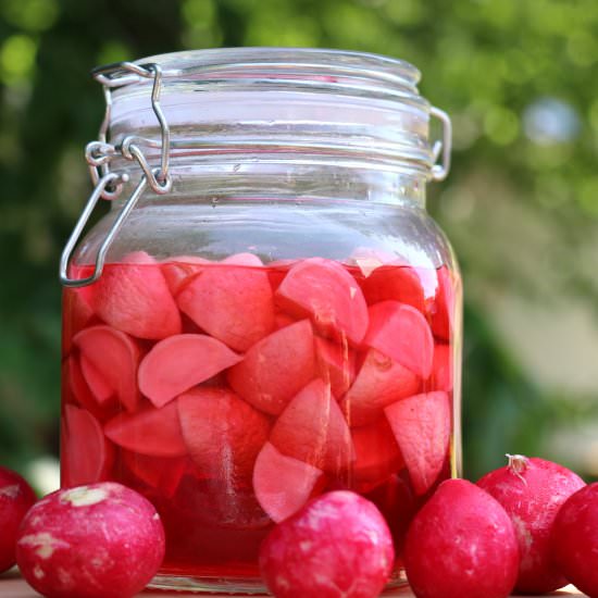 Sweet and Sour Pickled Radishes
