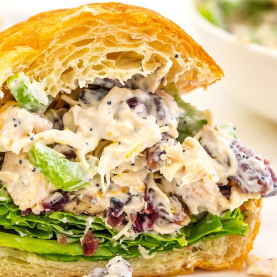 Cranberry Chicken Salad