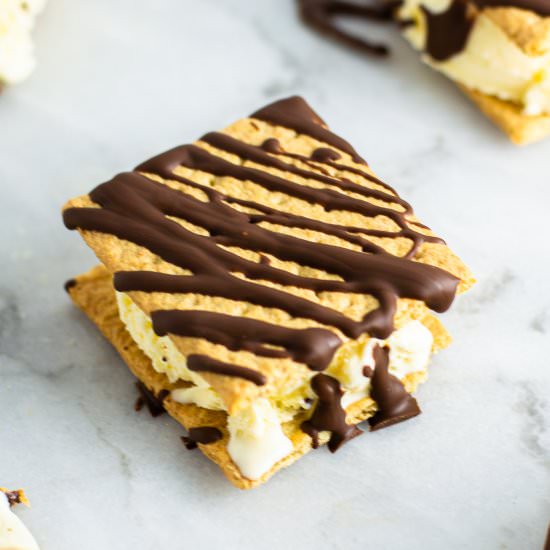 Chocolate Drizzled Ice Cream Sandwiches