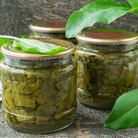 How to Can Sorrel
