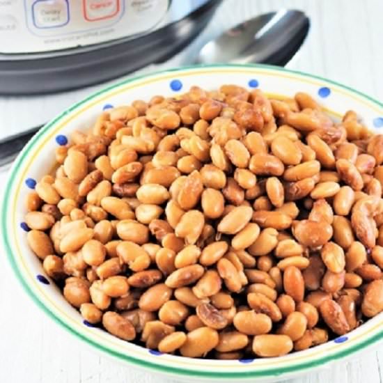 instant pot pinto beans