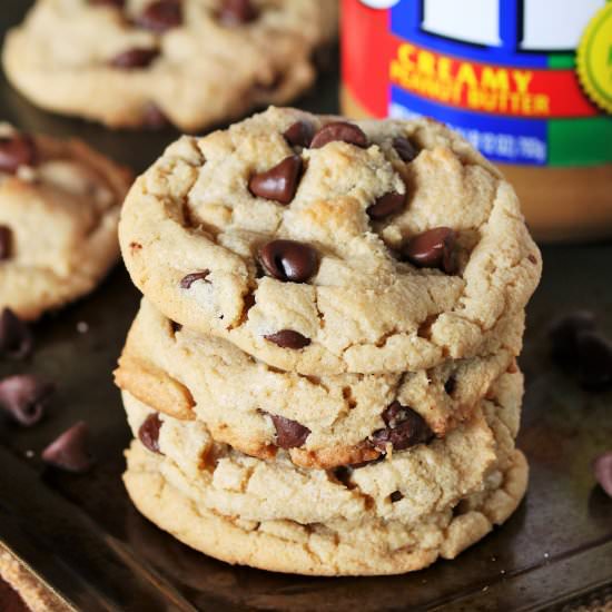 Peanut Butter Chocolate Chip Cookie