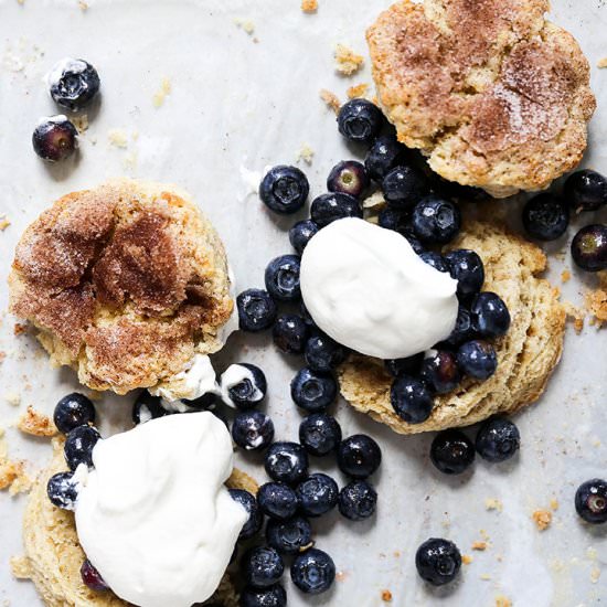 Snickerdoodle Blueberry Shortcakes