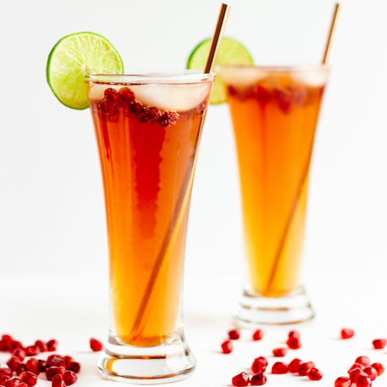 Pomegranate Lime Spritzer Cocktail
