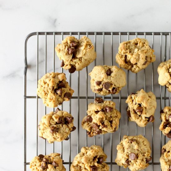 Chewy Chocolate Chip Cookies