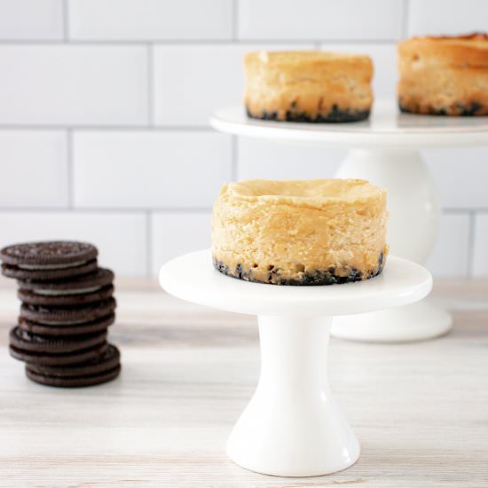 Peanut Butter Oreo Mini Cheesecakes