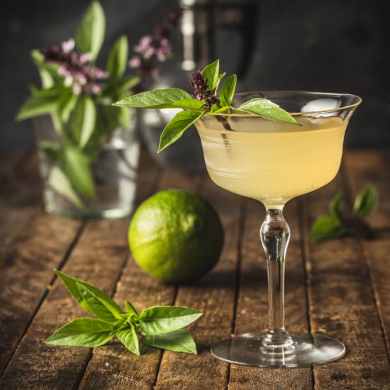 Thai Basil Elderflower Gimlet