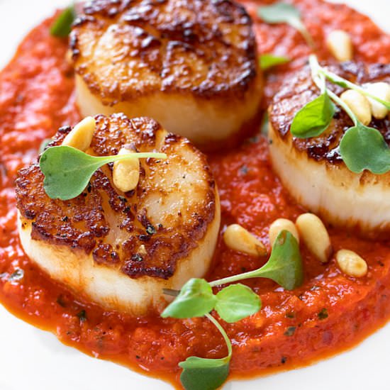 Pan Seared Scallops