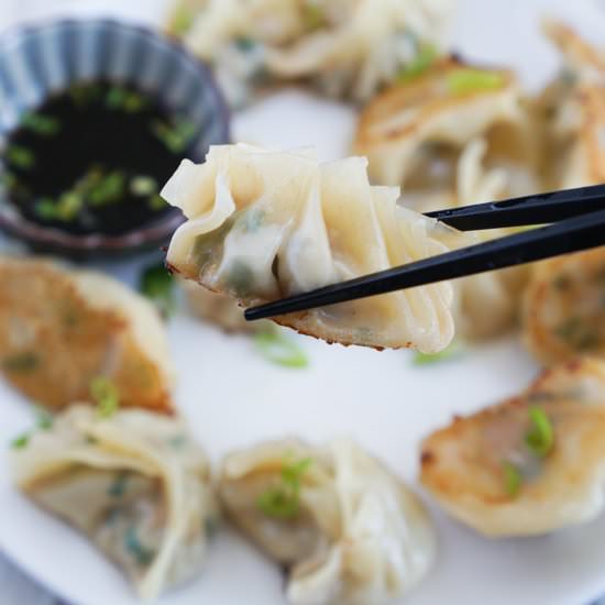 PORK AND CHIVE DUMPLINGS RECIPE