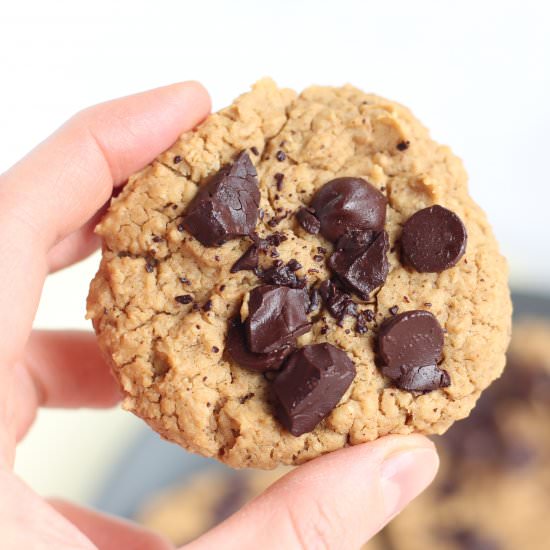 Sugar-Free Cookies
