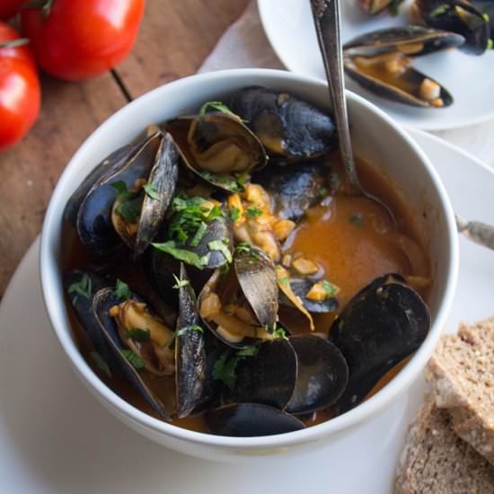 Mussels in Creamy Tomato Broth