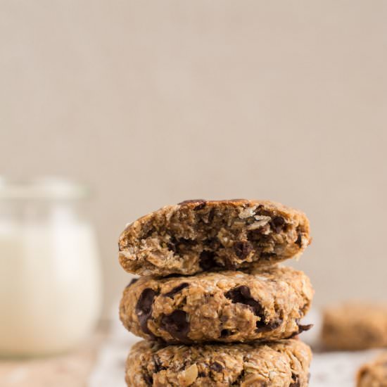 Vegan Oatmeal Cookies 3 Ways