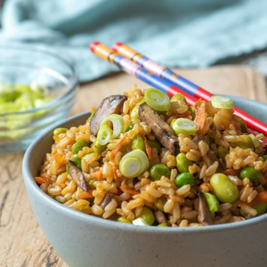 Bountiful Vegetable Fried Rice