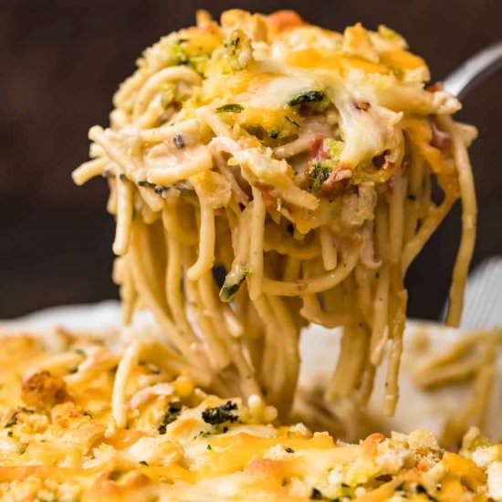 creamy chicken spaghetti!