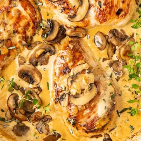 creamy mushroom chicken!