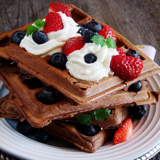 cocoa waffles