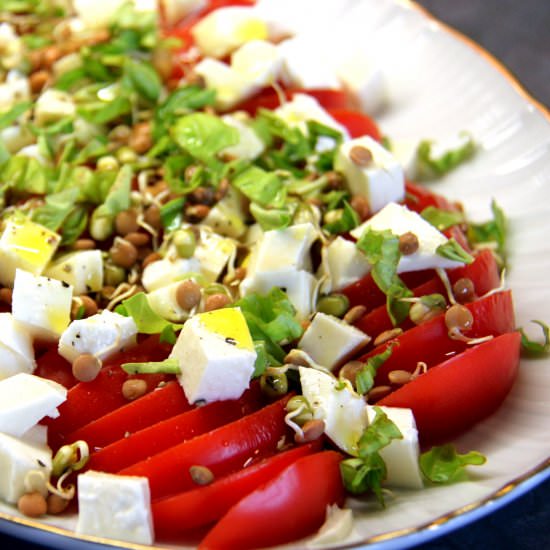 Two Tomato Cheese Salads