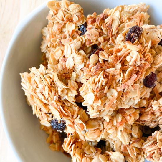 Coconut Cranberry Granola Clusters