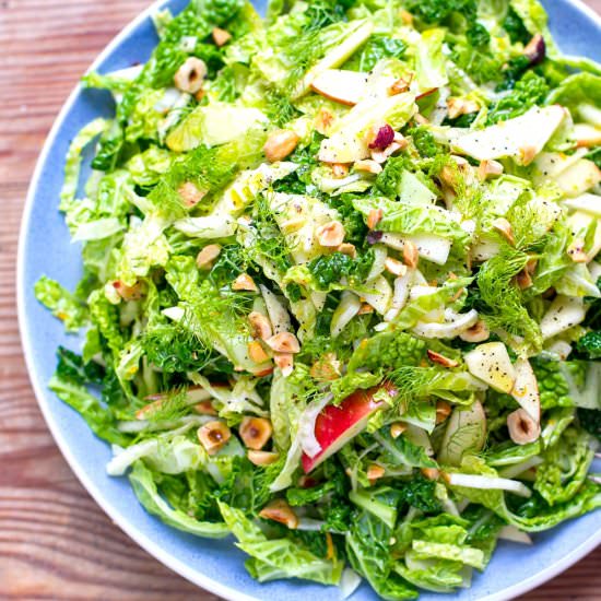 Cabbage Fennel Apple Slaw