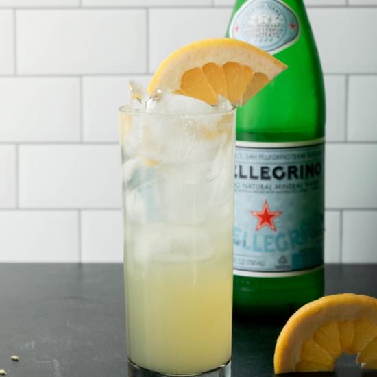 Fennel Grapefruit Vodka Fizz