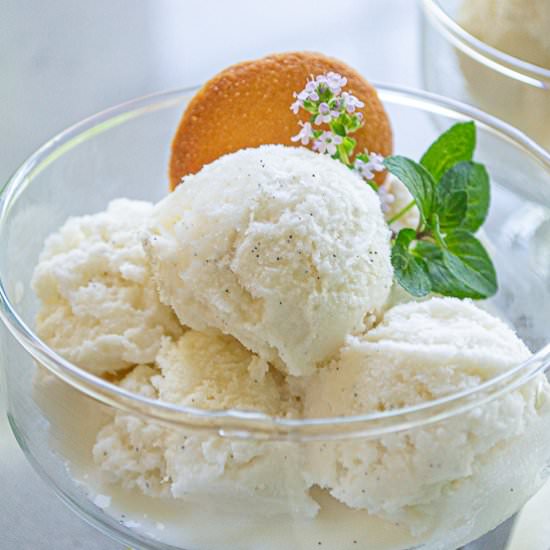 Vanilla Bean Ice Cream