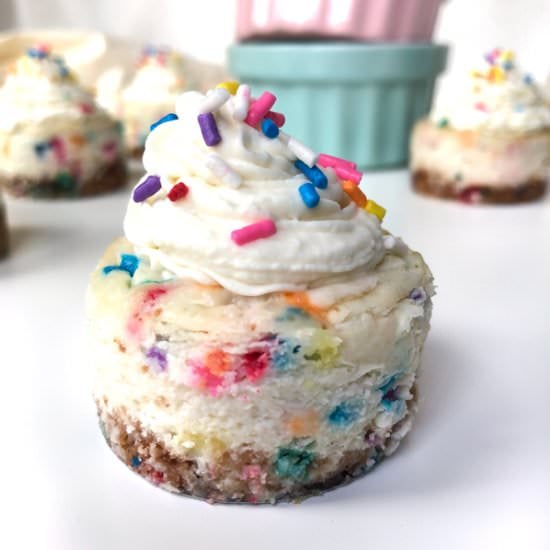 Mini Funfetti Cheesecakes