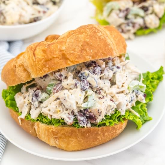 Easy Cranberry Pecan Chicken Salad