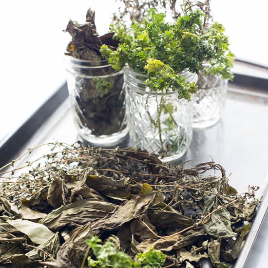 How To Preserve Herbs