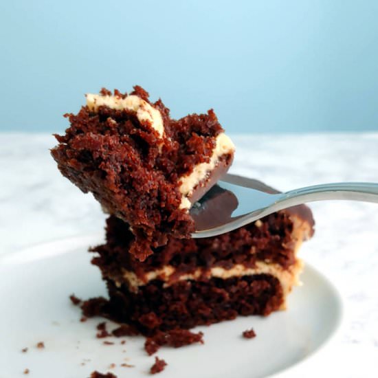 Chocolate Peanut Butter Cake