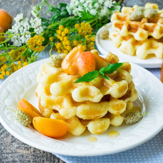 Cottage Cheese Waffles