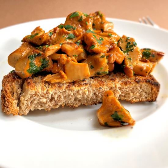 chanterelles on toast
