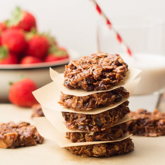 Vegan No-Bake Cookies