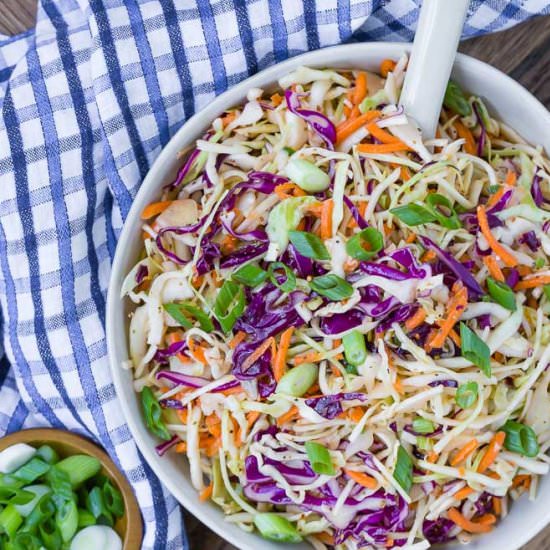 Vinegar Coleslaw