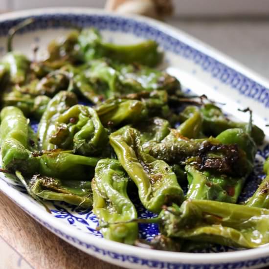 Sautéed Shishito Peppers