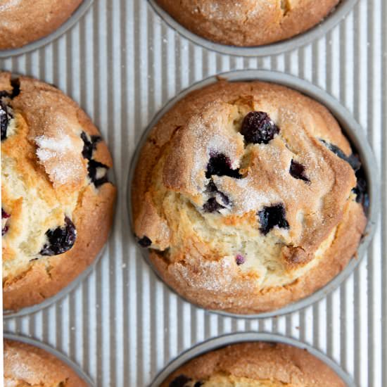 Blueberry Muffins