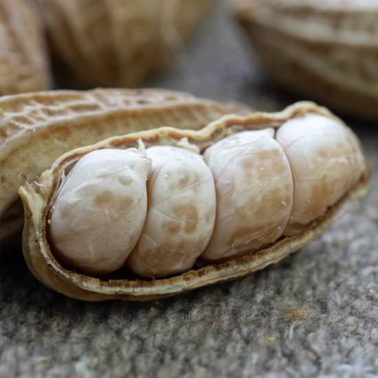 How To Boil Peanuts