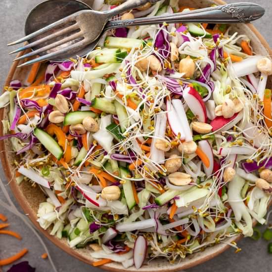 Vietnamese Veggie and Sprout Salad