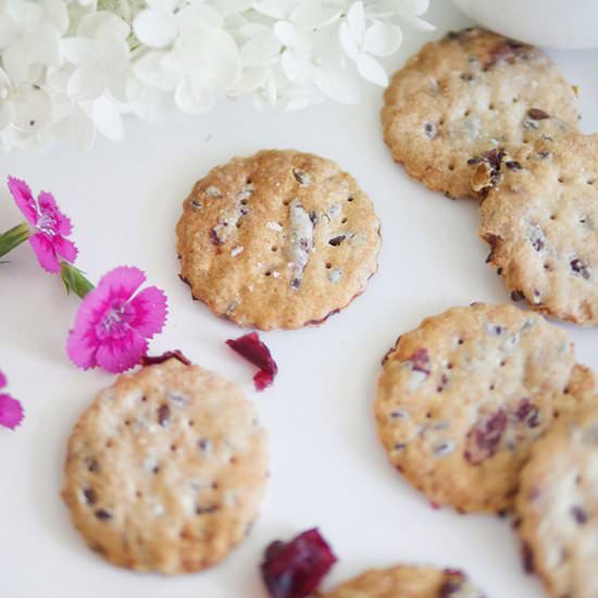 Cranberry Sourdough Discard Cracker