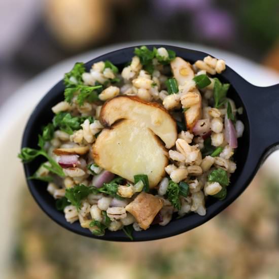 Mushroom Barley Salad